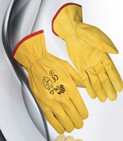 Driving gloves for Men graphic